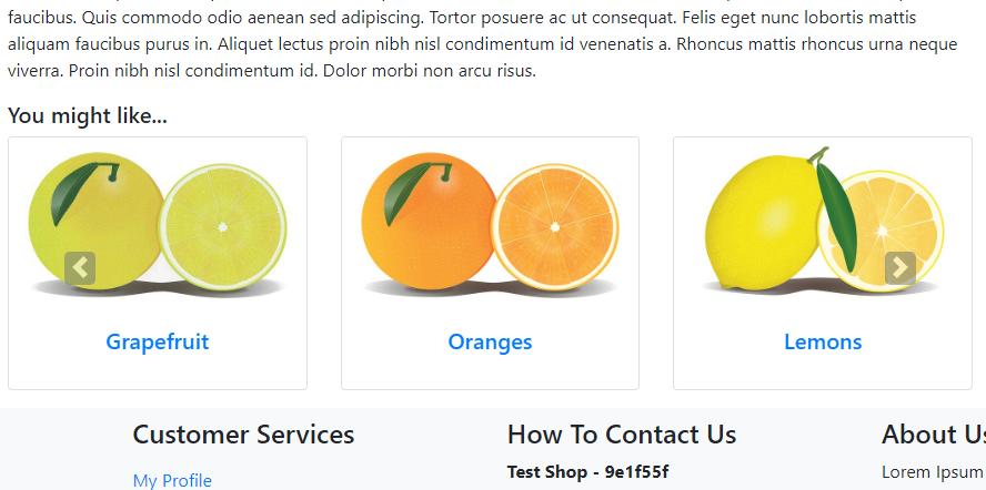 Related Products Carousel