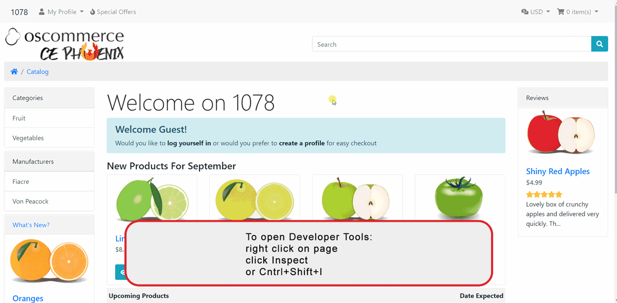 Chromeinspect1.gif