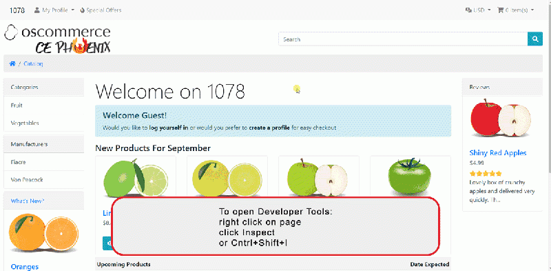 File:Chromeinspect1.gif